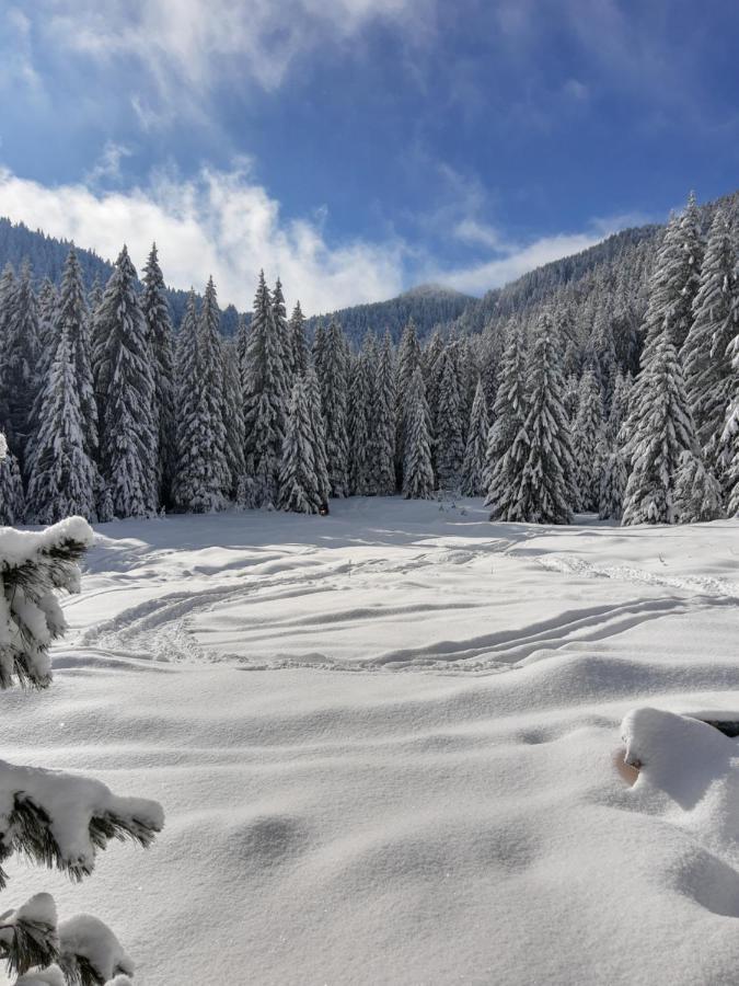 Хижа Ловна В Рила ปานิชิชเต ภายนอก รูปภาพ