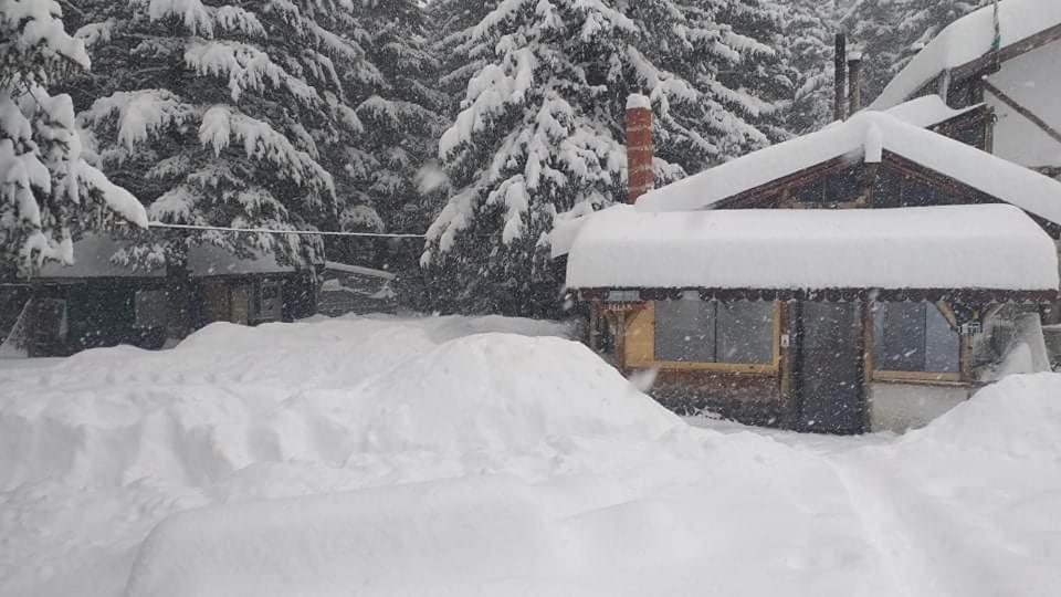 Хижа Ловна В Рила ปานิชิชเต ภายนอก รูปภาพ
