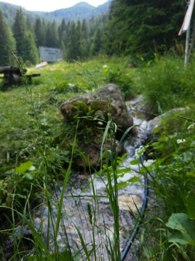 Хижа Ловна В Рила ปานิชิชเต ภายนอก รูปภาพ